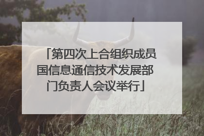 第四次上合组织成员国信息通信技术发展部门负责人会议举行