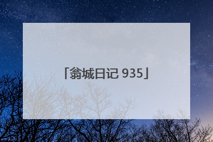 翁城日记 935