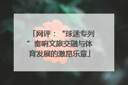 网评：“球迷专列”奏响文旅交融与体育发展的激昂乐章