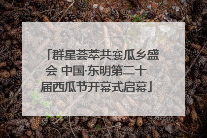 群星荟萃共襄瓜乡盛会 中国·东明第二十届西瓜节开幕式启幕