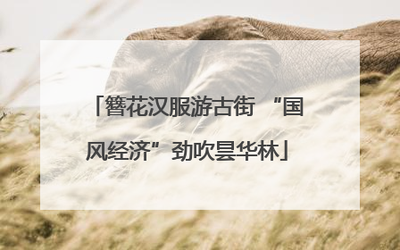 簪花汉服游古街 “国风经济”劲吹昙华林