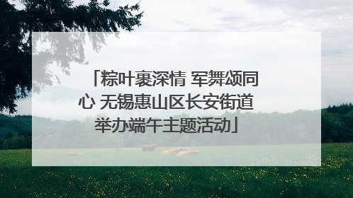 粽叶裹深情 军舞颂同心 无锡惠山区长安街道举办端午主题活动