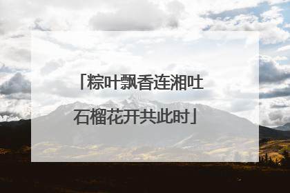 粽叶飘香连湘吐 石榴花开共此时