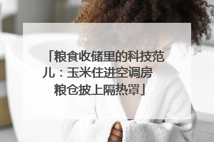 粮食收储里的科技范儿：玉米住进空调房 粮仓披上隔热罩