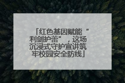 红色基因赋能“利剑护蕾”，这场沉浸式守护宣讲筑牢校园安全防线