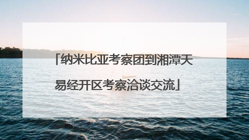 纳米比亚考察团到湘潭天易经开区考察洽谈交流