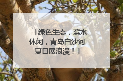 绿色生态，滨水休闲，青岛白沙河夏日展浪漫！