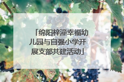 绵阳梓潼幸福幼儿园与自强小学开展支部共建活动