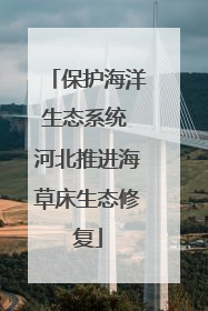 保护海洋生态系统 河北推进海草床生态修复