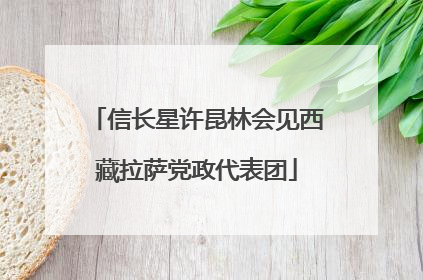 信长星许昆林会见西藏拉萨党政代表团