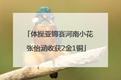 体操亚锦赛河南小花张怡涵收获2金1铜