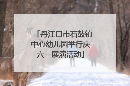丹江口市石鼓镇中心幼儿园举行庆六一展演活动