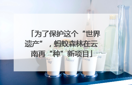 为了保护这个“世界遗产”，蚂蚁森林在云南再“种”新项目