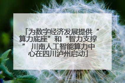 为数字经济发展提供“算力底座”和“智力支撑” 川南人工智能算力中心在四川泸州启动