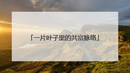 一片叶子里的共富脉络