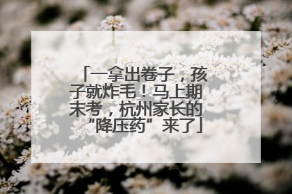 一拿出卷子，孩子就炸毛！马上期末考，杭州家长的“降压药”来了