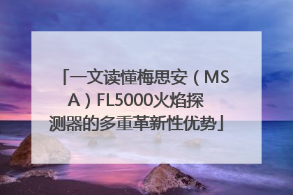 一文读懂梅思安（MSA）FL5000火焰探测器的多重革新性优势