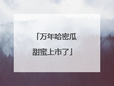 万年哈密瓜甜蜜上市了