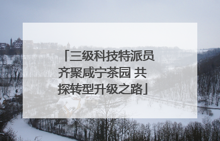 三级科技特派员齐聚咸宁茶园 共探转型升级之路