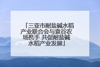 三亚市耐盐碱水稻产业联合会与袁谷农场携手 共促耐盐碱水稻产业发展