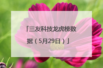 三友科技龙虎榜数据（5月29日）