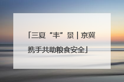 三夏“丰”景｜京冀携手共助粮食安全