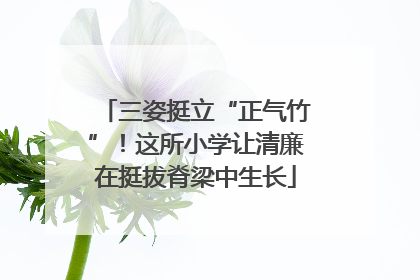 三姿挺立“正气竹”！这所小学让清廉在挺拔脊梁中生长