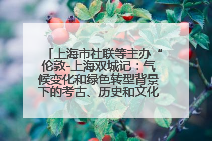 上海市社联等主办“伦敦-上海双城记：气候变化和绿色转型背景下的考古、历史和文化遗产”学术对话