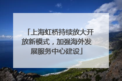 上海虹桥持续放大开放新模式，加强海外发展服务中心建设
