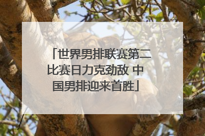 世界男排联赛第二比赛日力克劲敌 中国男排迎来首胜