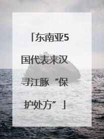 东南亚5国代表来汉寻江豚“保护处方”