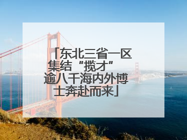 东北三省一区集结“揽才” 逾八千海内外博士奔赴而来