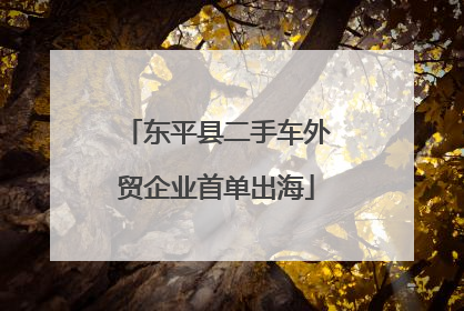 东平县二手车外贸企业首单出海