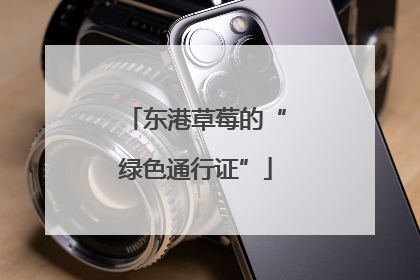 东港草莓的“绿色通行证”
