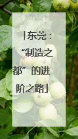 东莞：“制造之都”的进阶之路