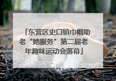 东营区史口镇巾帼助老“她服务”第二届老年趣味运动会落幕