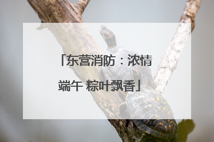 东营消防：浓情端午 粽叶飘香