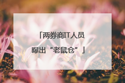两券商IT人员曝出“老鼠仓”