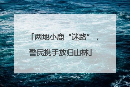 两地小鹿“迷路”，警民携手放归山林
