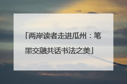 两岸读者走进瓜州：笔墨交融共话书法之美