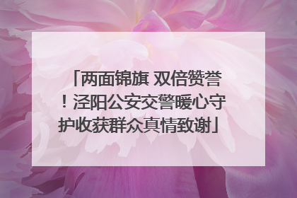 两面锦旗 双倍赞誉！泾阳公安交警暖心守护收获群众真情致谢