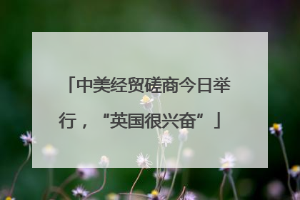 中美经贸磋商今日举行，“英国很兴奋”
