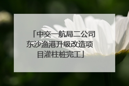 中交一航局二公司东沙渔港升级改造项目灌柱桩完工