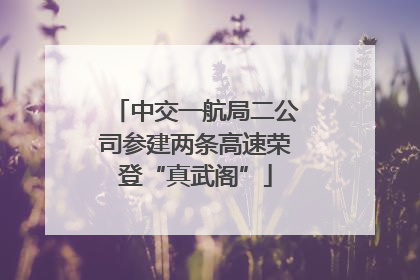 中交一航局二公司参建两条高速荣登“真武阁”