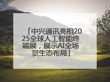 中兴通讯亮相2025全球人工智能终端展，展示AI全场景生态布局