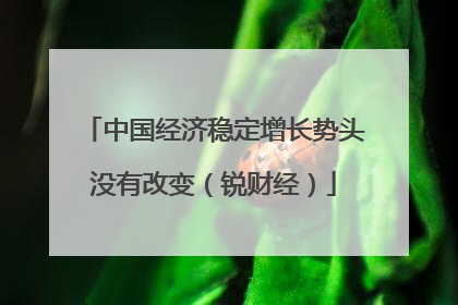 中国经济稳定增长势头没有改变（锐财经）
