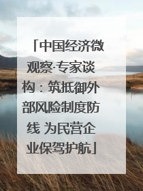 中国经济微观察·专家谈构：筑抵御外部风险制度防线 为民营企业保驾护航