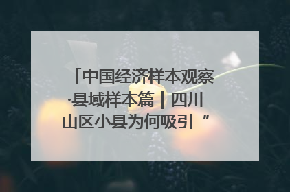 中国经济样本观察·县域样本篇｜四川山区小县为何吸引“村播”扎堆？