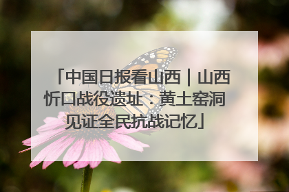 中国日报看山西｜山西忻口战役遗址：黄土窑洞见证全民抗战记忆