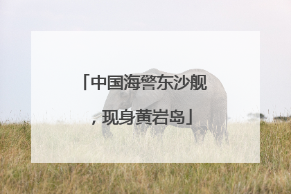 中国海警东沙舰，现身黄岩岛